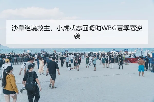 沙皇绝境救主，小虎状态回暖助WBG夏季赛逆袭