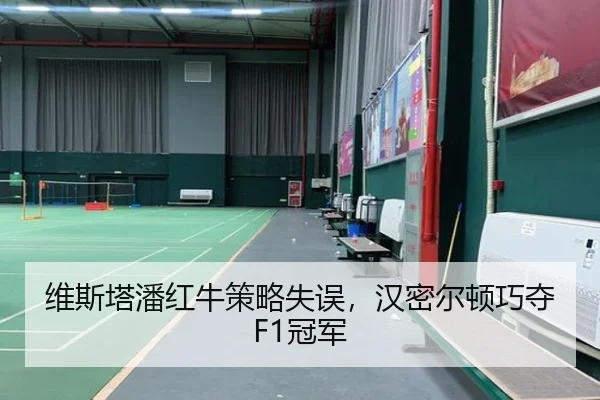 维斯塔潘红牛策略失误，汉密尔顿巧夺F1冠军