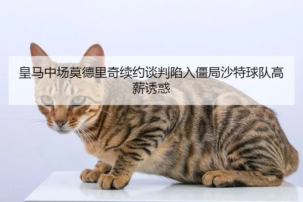 皇马中场莫德里奇续约谈判陷入僵局沙特球队高薪诱惑